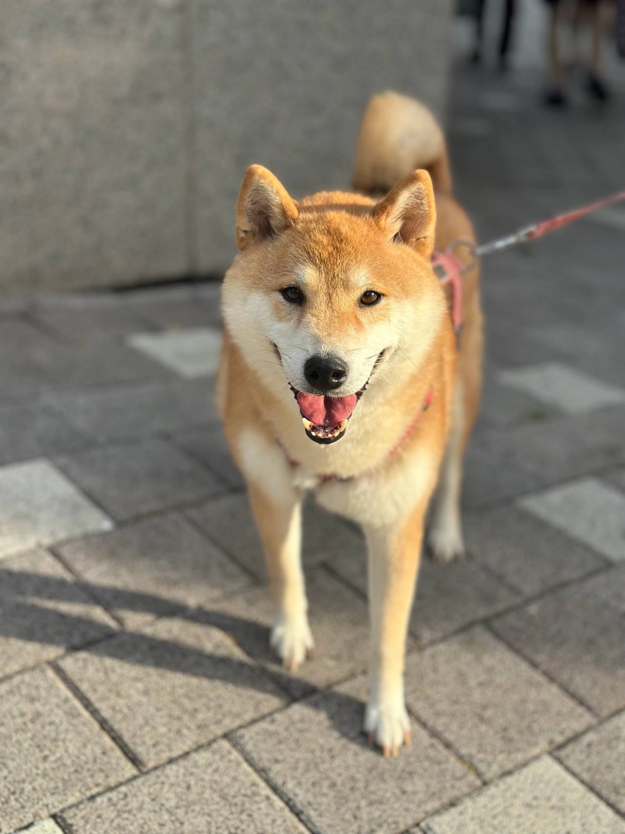 길산